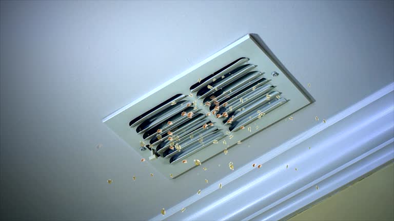Best Commercial Air Duct Cleaning  in White Sulphur Springs, MT
